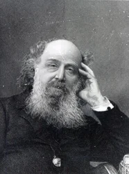 James Joseph Sylvester (engraved by George J. Stodart)